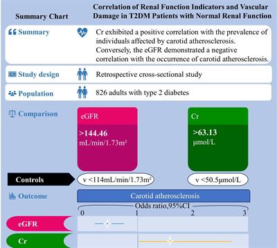 Correlation of renal function indicators and vascular damage in T2DM patients with normal renal function